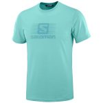 Tričko SALOMON Coton Logo SS Tee M Meadowbroo/Te