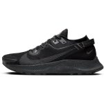 Tenisky NIKE Pegasus Trail 2 GORE-TEX Black