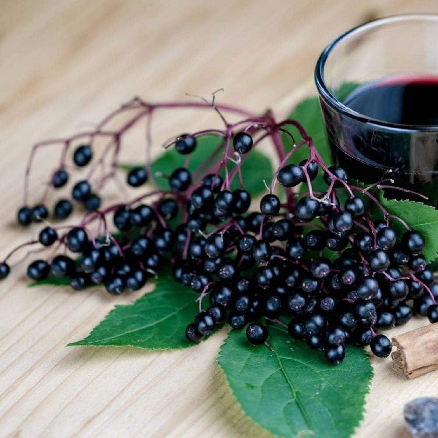EkoMedica Čierna baza 100% šťava 500 ml - Prírodné liečivé šťavy - 2