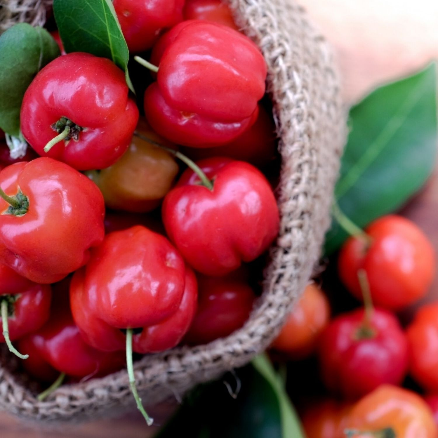 EkoMedica Acerola 100% šťava 500 ml - Prírodné liečivé šťavy - 2