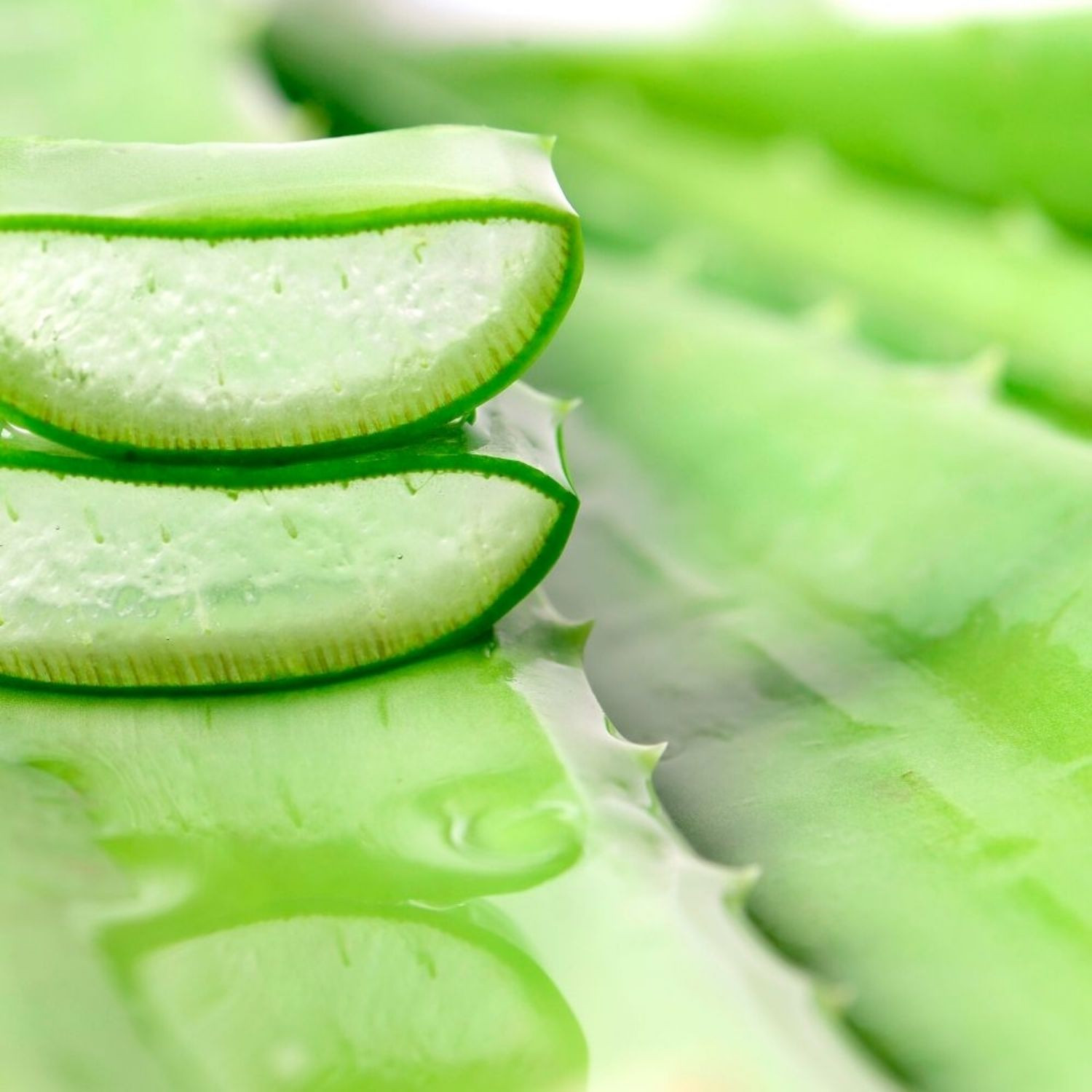 EkoMedica Aloe s dužinou 99,8% šťava 500 ml - Prírodné liečivé šťavy - 2