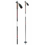 Backcountry palice Alpina BC XT