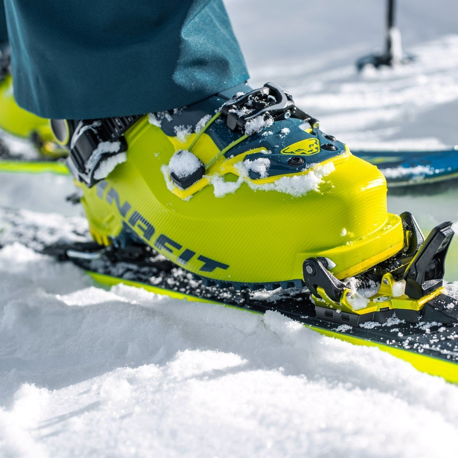 Skialpinistické lyžiarky DYNAFIT Radical Pro Petrol - Skialp lyžiarky - 3