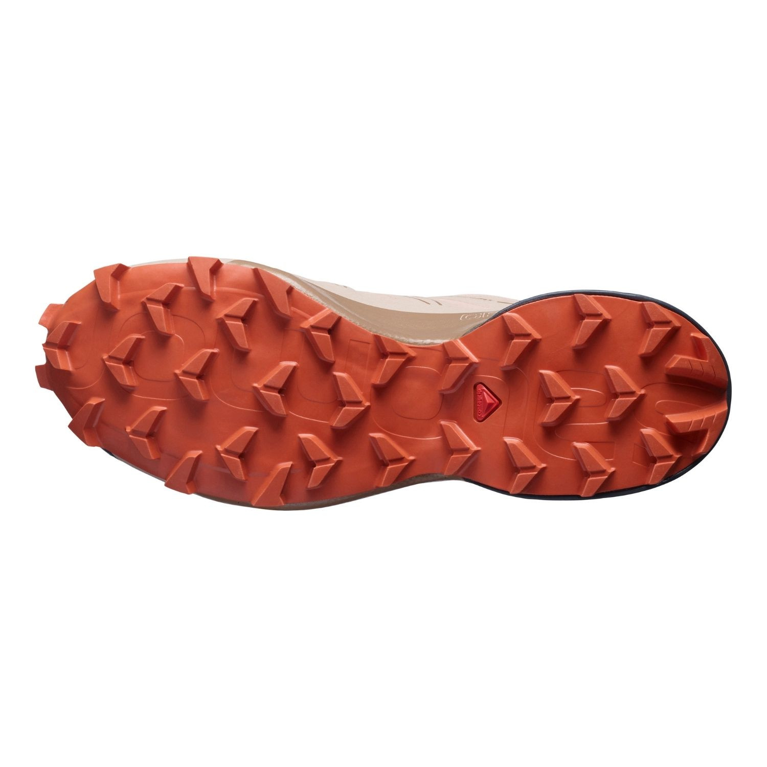 Obuv SALOMON Speedcross 5 GTX W Sirocco/Mocha - Športová obuv - 4