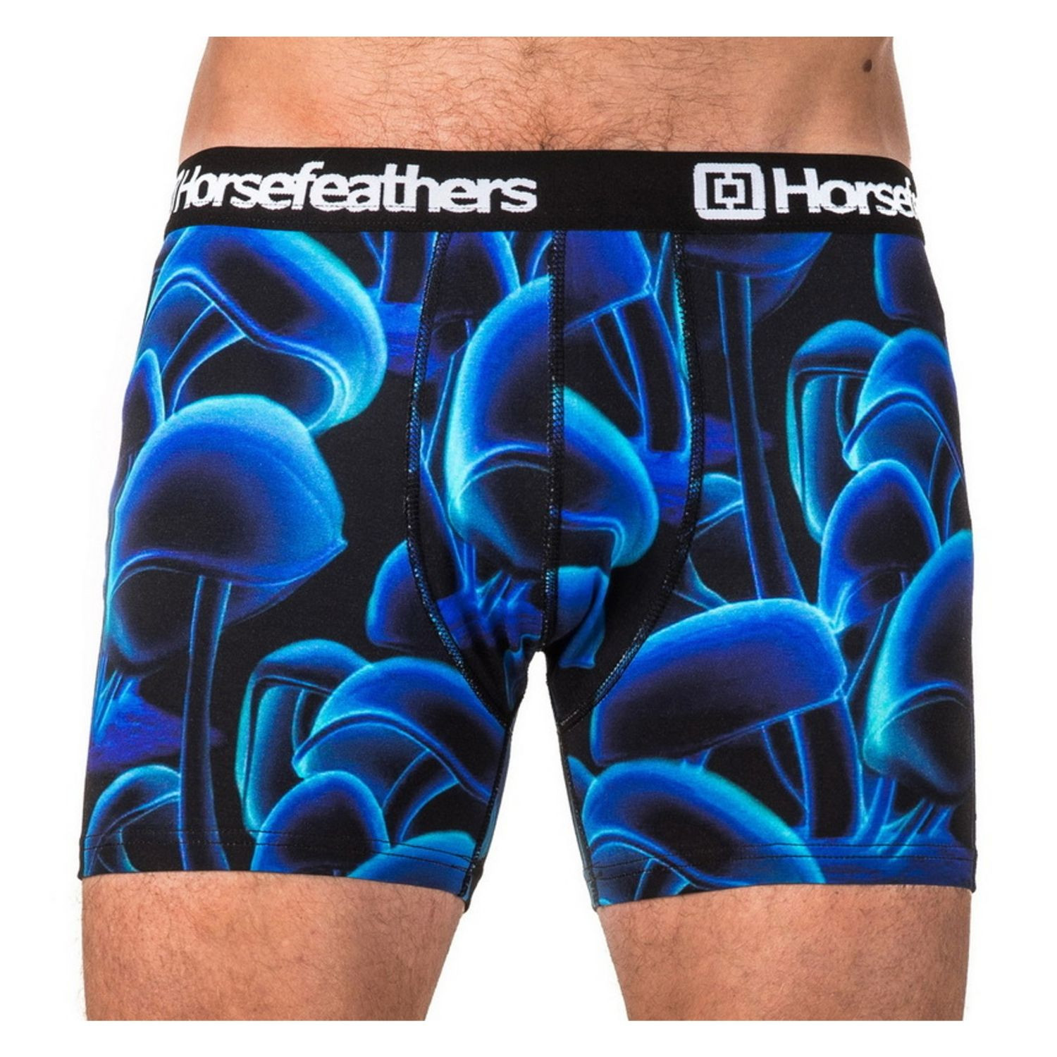 Boxerky HORSEFEATHERS Sidney Tyler Blue - Spodná bielizeň - 1
