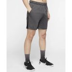 Šortky NIKE Dri-FIT Mens Training Grey