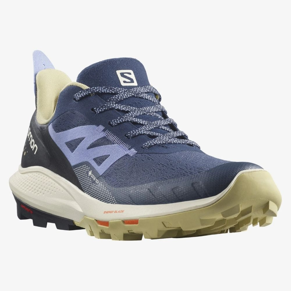 Obuv SALOMON OUTpulse GTX W Mood Indigo - Turistická obuv - 2