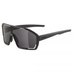 Okuliare ALPINA Bonfire Black
