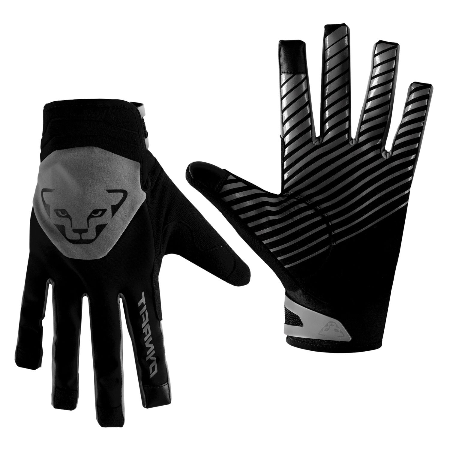 Rukavice DYNAFIT Radical Softshell Gloves - Rukavice na bežky a skialp - 1