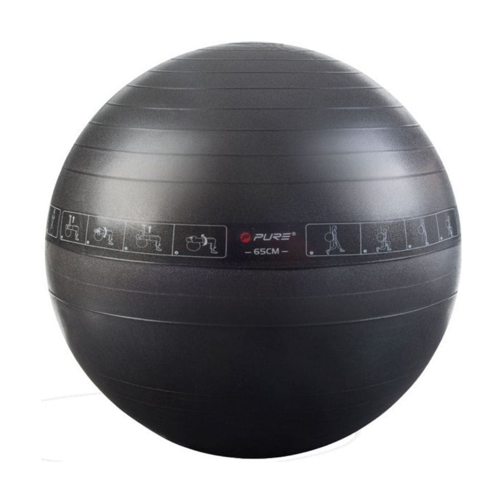 Fit lopta PURE 2 IMPROVE Exercise Ball 65 CM - Fitness - 1
