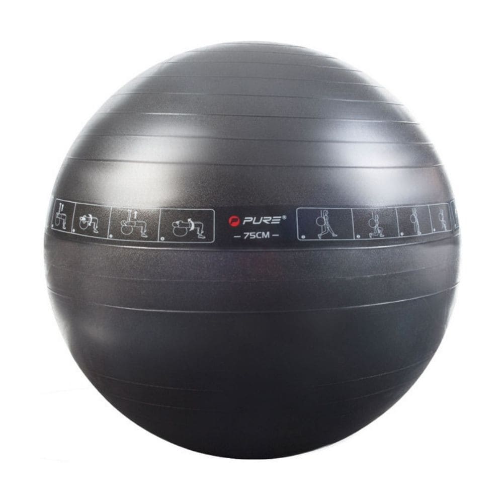 Fit lopta PURE 2 IMPROVE Exercise Ball 75 CM - Fitness - 1