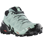 Obuv SALOMON Speedcross 6 GTX W Aqua/Blk