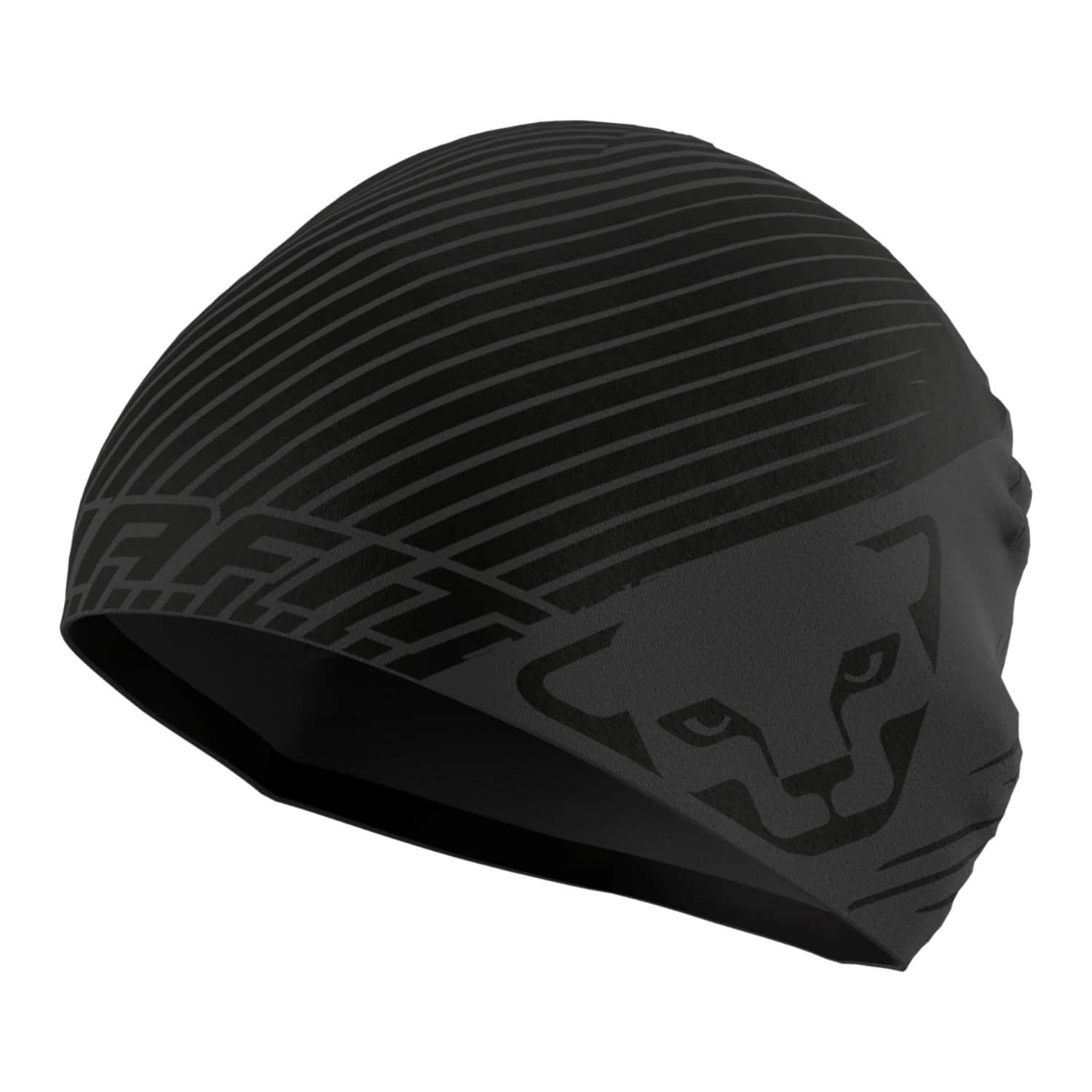 Čiapka DYNAFIT Performance Beanie Magnet - Čiapky - 1