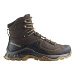 Turistická obuv SALOMON Quest Element GTX Delicioso/Black/Dull Gold