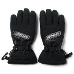 Lyžiarske rukavice SPYDER Overweb GTX Gloves Black