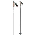 Backcountry palice Alpina BC Pioneer