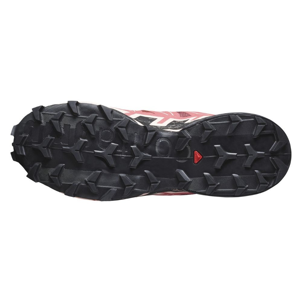 Obuv SALOMON Speedcross 6 W Cohide/Enrose - Športová obuv - 6