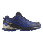 Topánky SALOMON XA Pro 3D V9 GTX Blue Print