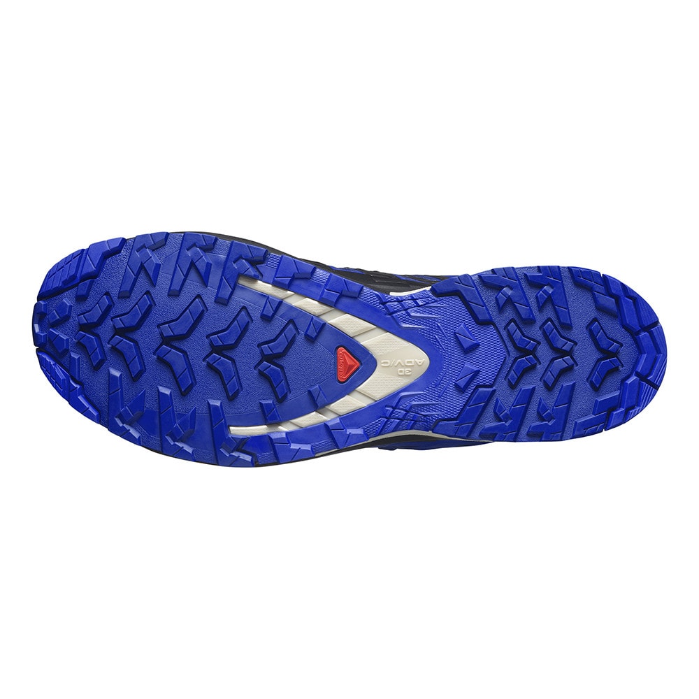 Topánky SALOMON XA Pro 3D V9 GTX Blue Print - Športová obuv - 6