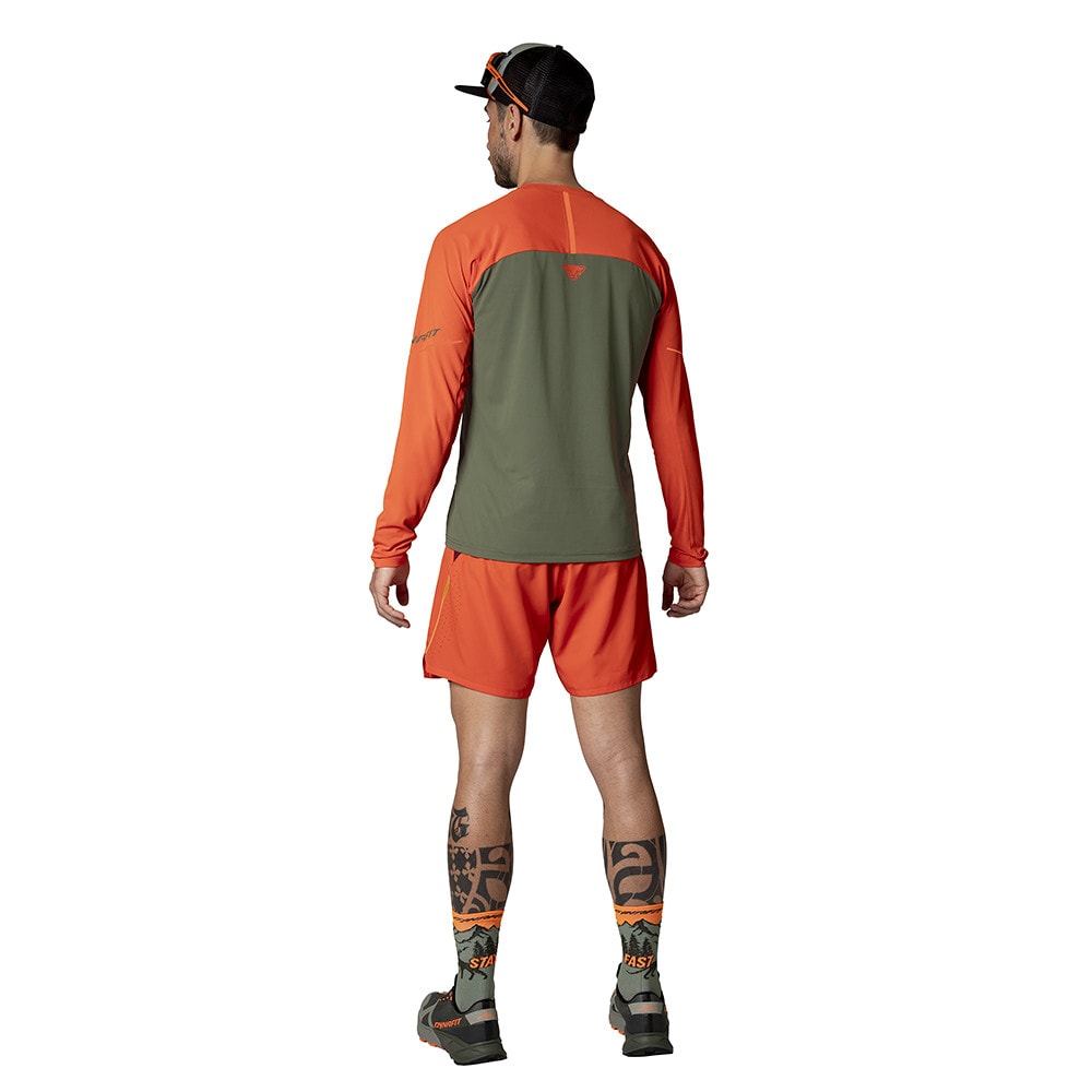 Športové tričko DYNAFIT Alpine Pro Longsleeve M Thyme - DYNAFIT - 3