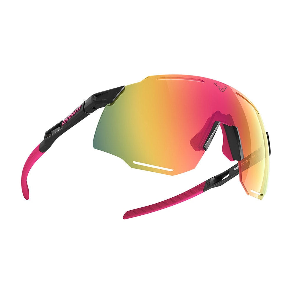 Športové okuliare DYNAFIT Alpine Evo Black/Pink Glo - Slnečné okuliare - 1