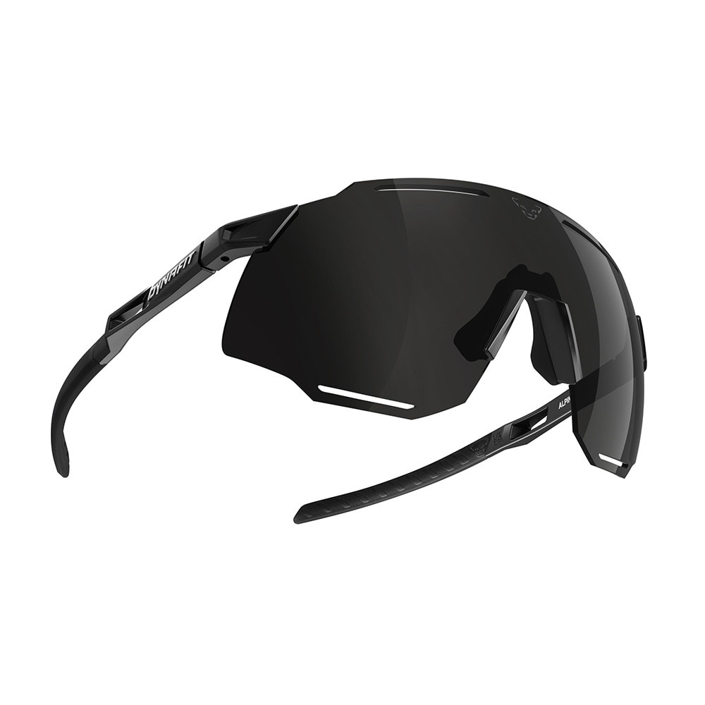 Športové okuliare DYNAFIT Alpine Black/Nimbus - Slnečné okuliare - 1