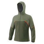 Bunda DYNAFIT Alpine Gore-Tex M Sage