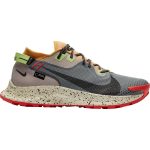 Tenisky NIKE Pegasus Trail 2 GORE-TEX Grey