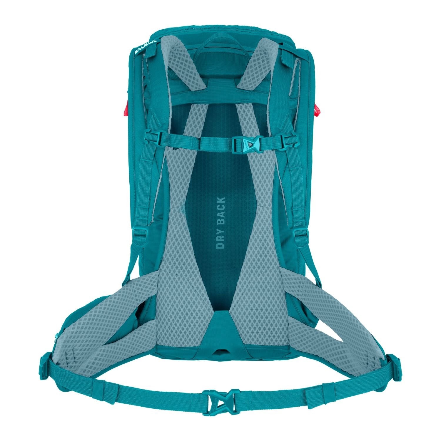 Batoh SALEWA  Alp Trainer 20 W Blue - Batohy turistické - 2