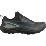 Obuv SALOMON Genesis GTX Black