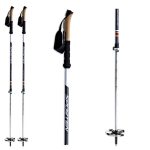 Bežecké palice SPORTEN Backcountry Vario