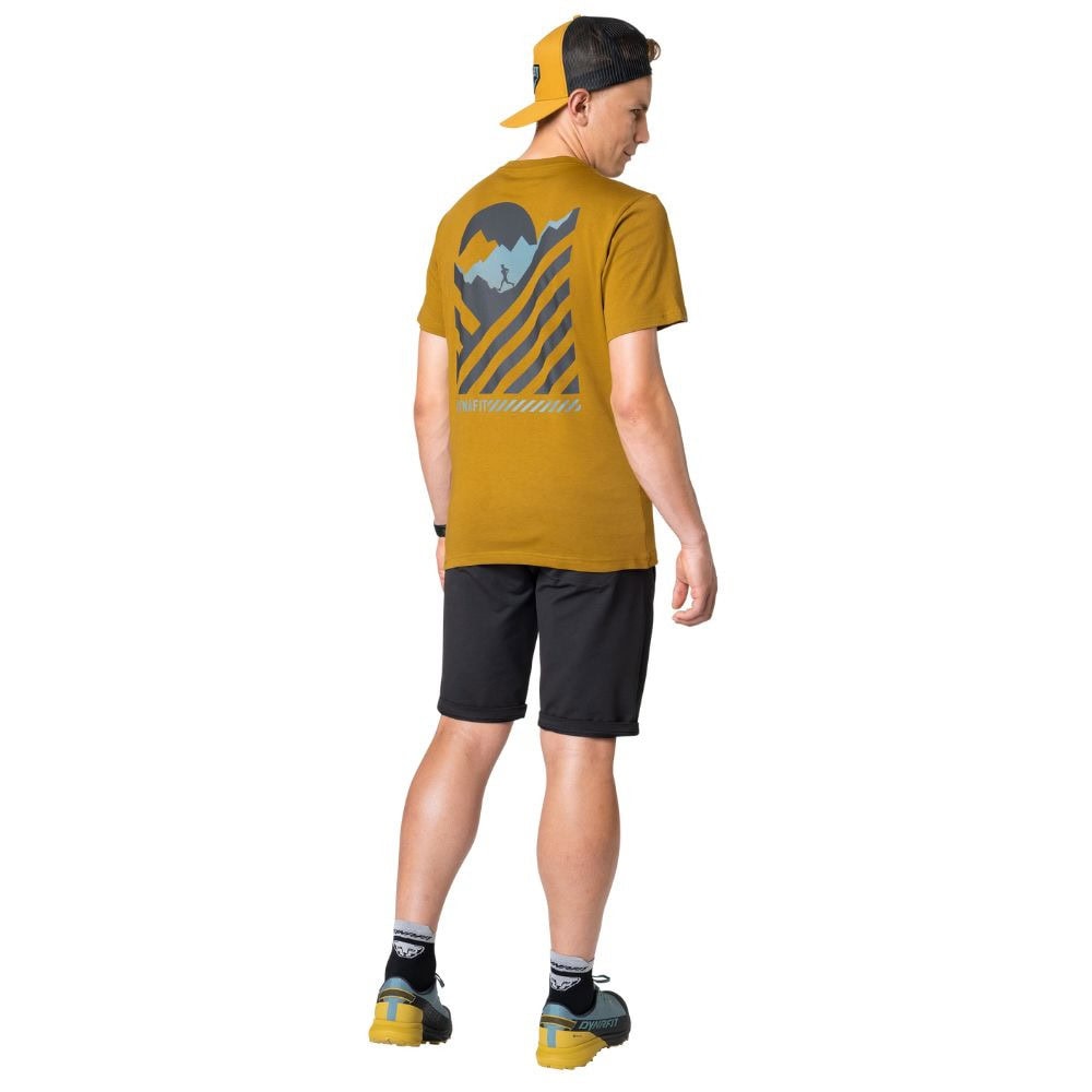 Tričko DYNAFIT 24/7 Graphic T-Shirt M Relic/Striped Elevation - DYNAFIT - 3