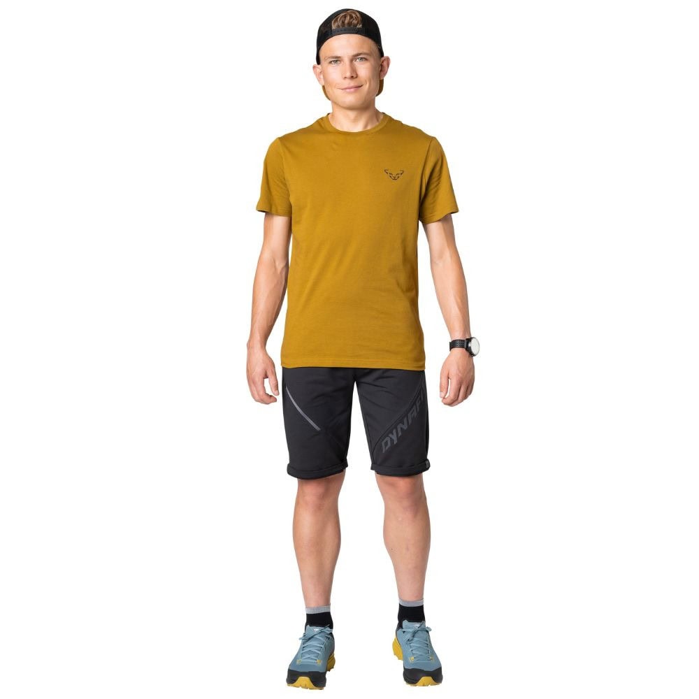Tričko DYNAFIT 24/7 Graphic T-Shirt M Relic/Striped Elevation - DYNAFIT - 2