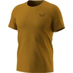 Tričko DYNAFIT 24/7 Graphic T-Shirt M Relic/Striped Elevation