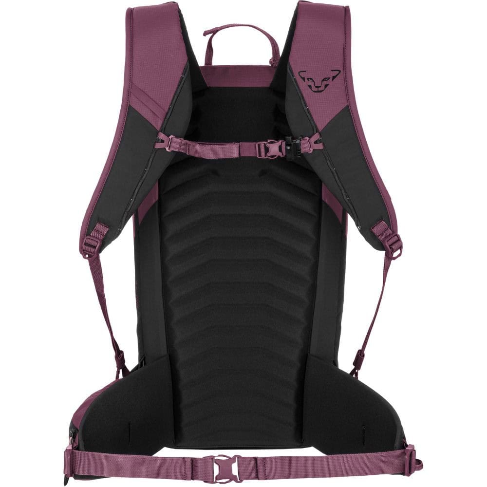 Batoh DYNAFIT Ridge 24 Backpack W Amaranth / Black Out - Batohy turistické - 2